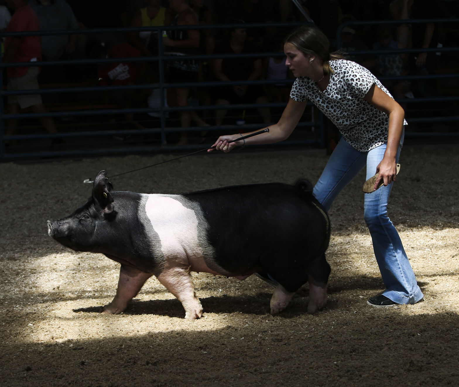 080921-qc-nws-fair-23.JPG